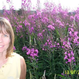 (C-Biscuit) Frauline and Fireweed