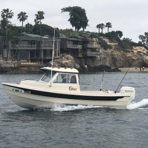 Coming back into the harbor