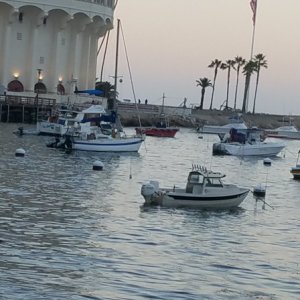 Avalon Catalina, For the night