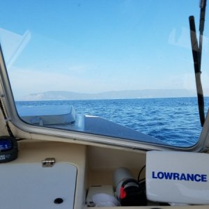 Catalina in the Distance