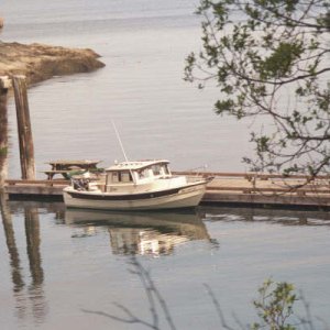 Little Buddy at Matia