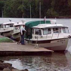 Halcyon,Orca,and Plan B