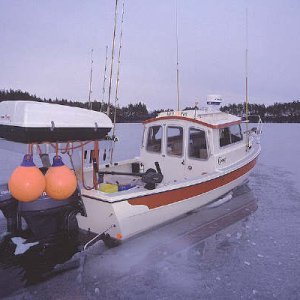 Media 'Red Fox breaking Ice' in album '(Moskwass)'