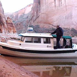 Halcyon in the Utah Canyon area of Lake Powell