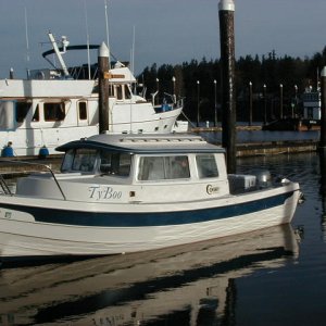 Tyboo at rest in OLY TOWN