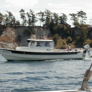 Little Buddy passes by