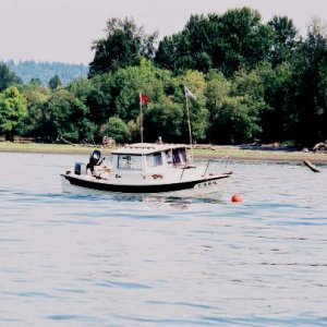 Cheers anchored at St.Helens on the Mighty Columbia