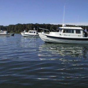 Blue-C, Tyboo, and Shearwater near St.Helens