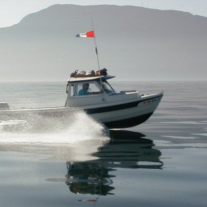 Bambino catches some air