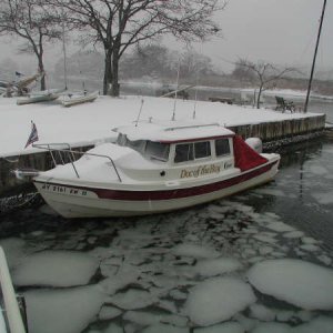 Doc of the Bay, after a snow storm