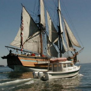 What a cool site to see