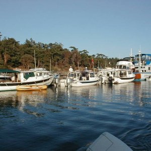 6 C-Dorys on one side of the dock