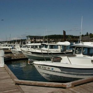 C-Dorys as far as you can see