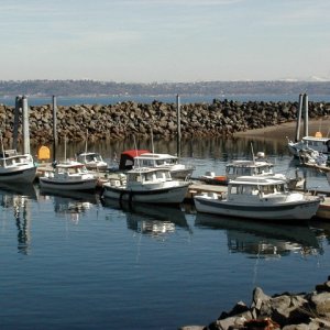 what a wonderful day