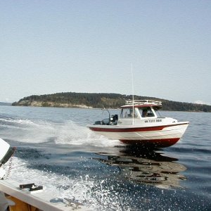 A race to the shrimpin hole