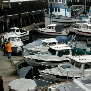 A view of the gathering at Langley Marina ,WA