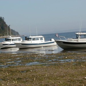 Blue-C,Tyboo,& the SENSEI