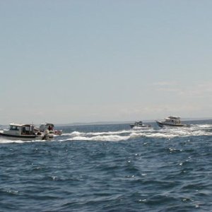 Going our seperate ways