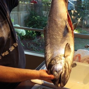 We caught this fella within the first 5 minutes......then no bites for the rest of the day!