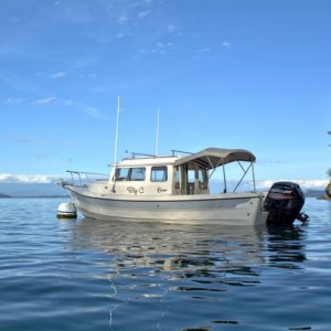 Dock was full (of course) so grabbed a buoy on the east side, since the forecast was continued calmness.