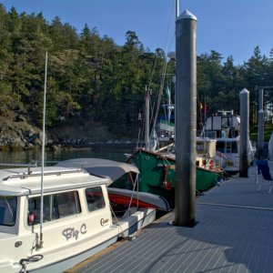 On the dock Saturday May 4th