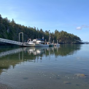 New James Island dock is about twice as long as the old dock, but still fills up quick