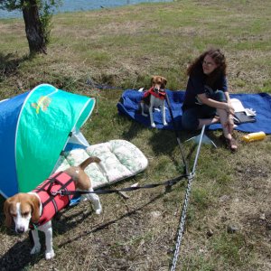 Small Picnic 5