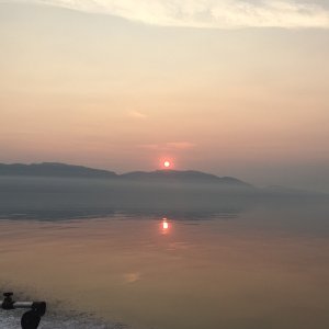 IMG 0814