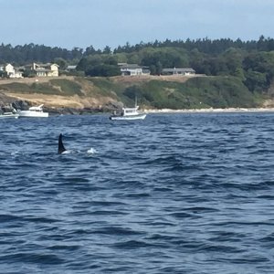 IMG 0826