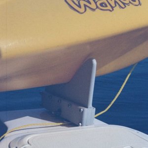 Kayak Mount