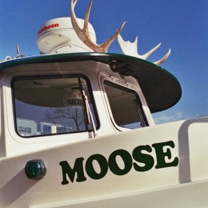 The MOOSE