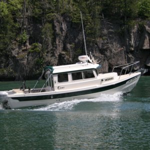 (MOOSE) The-MOOSE-at-Spain-Island