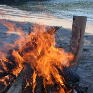 (MOOSE) Planking Lake Trout