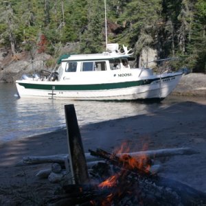 (MOOSE) Planking Trout & MOOSE