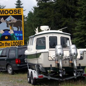 MOOSE on the LOOSE