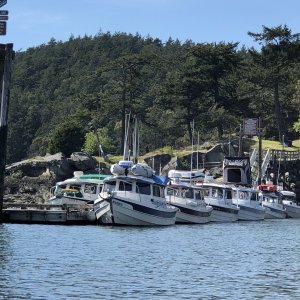 Friday Harbor Pre-Gathering at Sucia Island