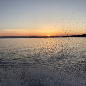 Sunrise Georgia Strait