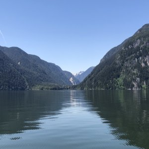 Glendale Cove Grizzly Reserve, Knight Inlet