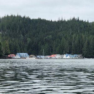 Sullivan Bay, The Broughtons