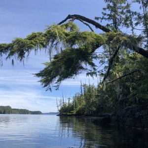 Muirhead Islands, Drury Inlet, The Broughtons