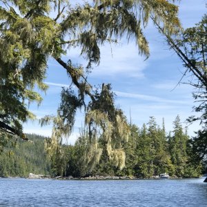 DayBreak tucked into Muirhead Is