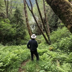 Hiking at Turnbull Cove