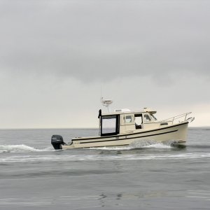 The Byrd Flies