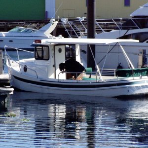 Tug in harbor