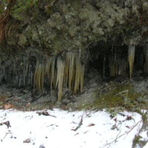 Winter at Freshwater Bay 038