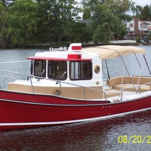 Media 'It floats!' in album 'Getting ready for Tugger's first dip at Lake Washington'