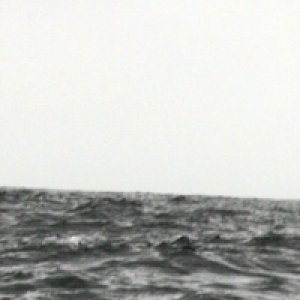 Sure, it's easy to get this shot, but how many ppl have the shot of the hole in the water just AFTER the dolphin disappears?