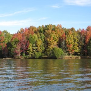 fall leaf tour on the Cumberland