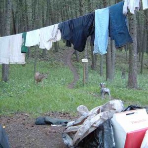 20030615 - 16 Smith River in Montana