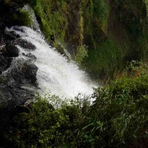 20050617 - 02 Hiking Multnomah Falls w relatives from England